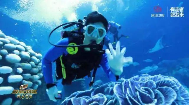 逃离死亡岛