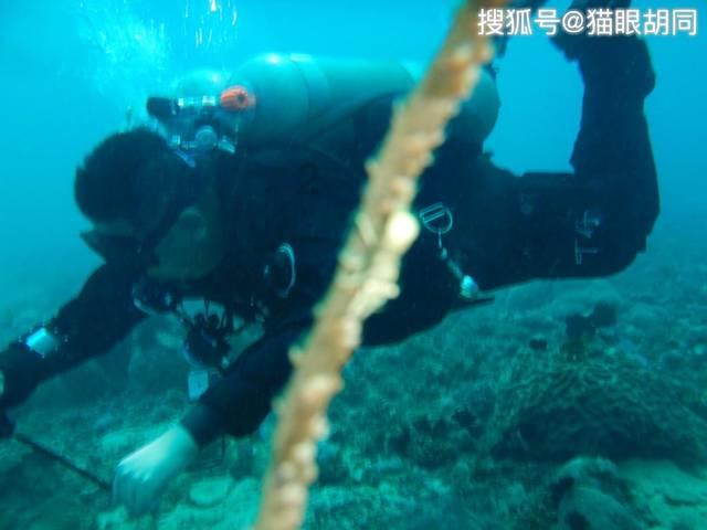 喜羊羊要上200层