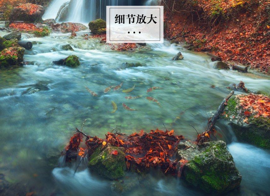虫虫助手下载